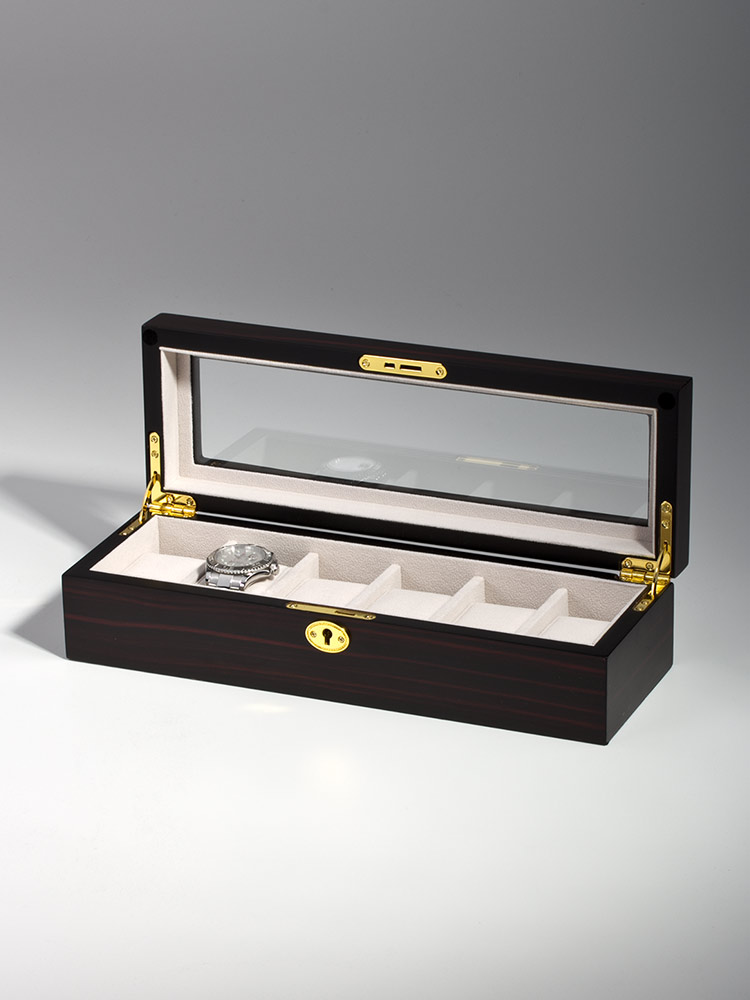 Rothenschild RS-1087-6E box na hodinky a šperky