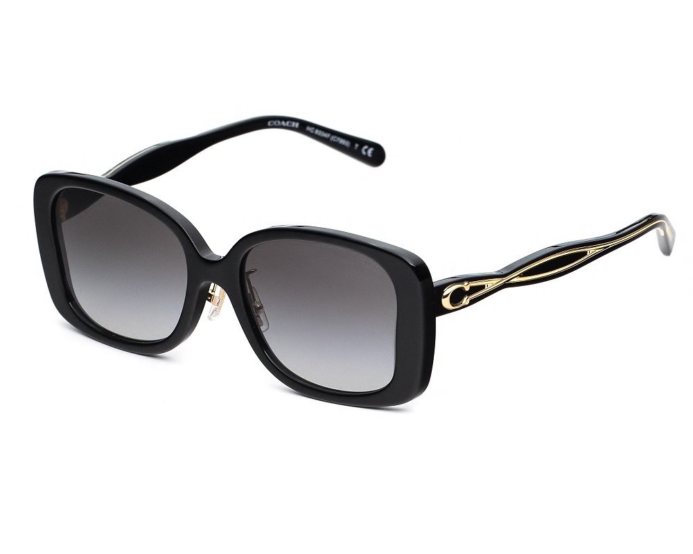 COACH HC8334F-50023C