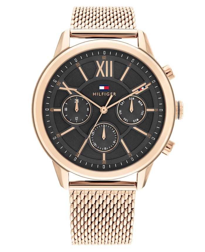 Hodinky TOMMY HILFIGER model 1710525