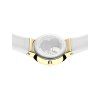 10129 934 caseback