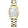 Bering 17331-710 Solar 31mm 5ATM