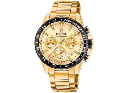 Festina F20634/6