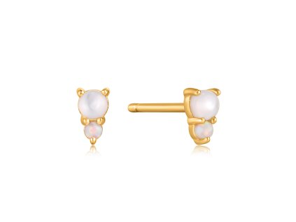 Ania Haie E034-02G Earrings - Rising Star
