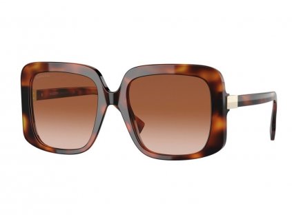 31477563ca8018251ff96dc4c785350c