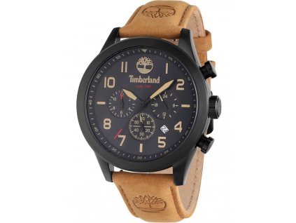 Timberland TDWGF0009701 Ashmont Dual Time 46mm