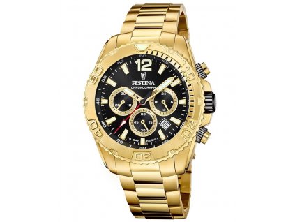 Festina F20684/4