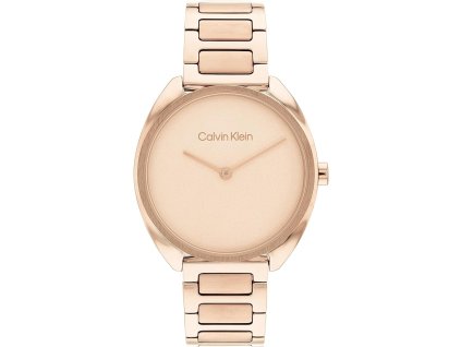 Hodinky CALVIN KLEIN model 25200277