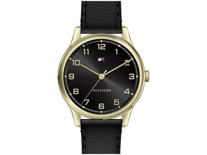 Hodinky TOMMY HILFIGER model 1791660