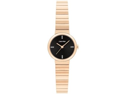 Hodinky CALVIN KLEIN model PRECISE 25200417