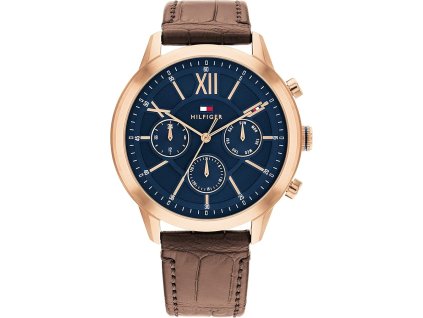 Hodinky TOMMY HILFIGER model MORRISON 1710526