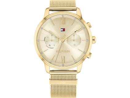Hodinky TOMMY HILFIGER model BLAKE 1782302