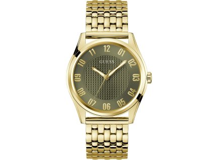 gw0895g2
