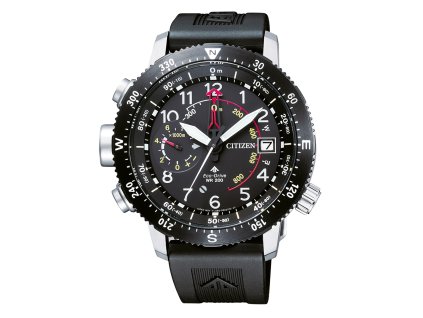 Citizen BN4044-15E Promaster