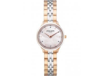 Pierre Cardin PC902682F306