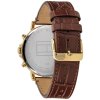 Hodinky TOMMY HILFIGER model DANIEL 1710380