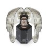 Philipp Plein PWBAA0121 The $keleton automatic 44mm