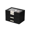 Rothenschild RS-2350-30BL box na hodinky a šperky