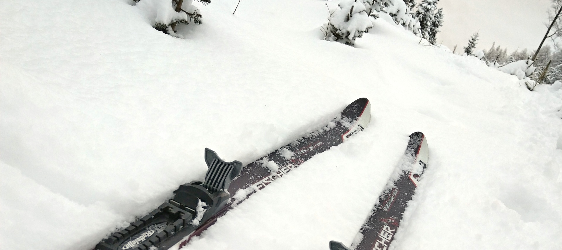 Uvítací obrázek IV