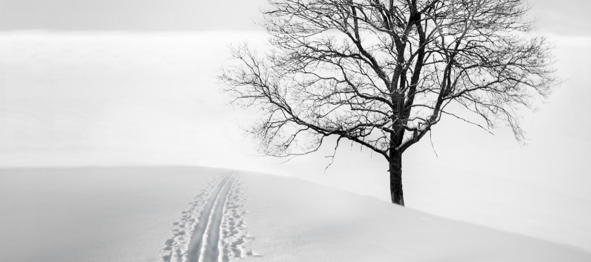 Uvítací obrázek II