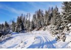 středně široké turistické BC běžky