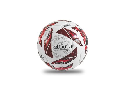 mundo sala pilka futsalowa 4 1