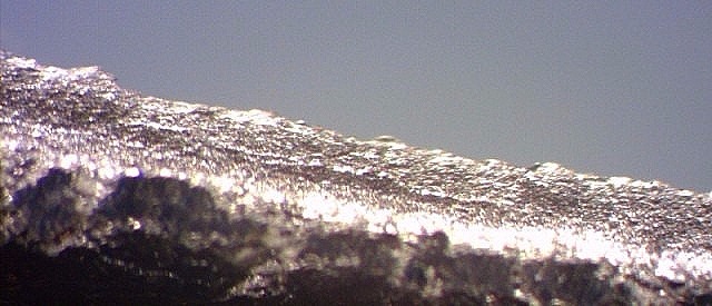 Zinga pod mikroskopom