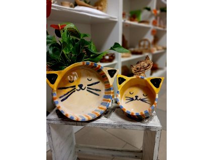 599933714 25570666412529759 1546707602157335405 n