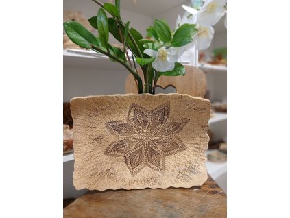 597765558 25603248555938211 5268923728616232541 n