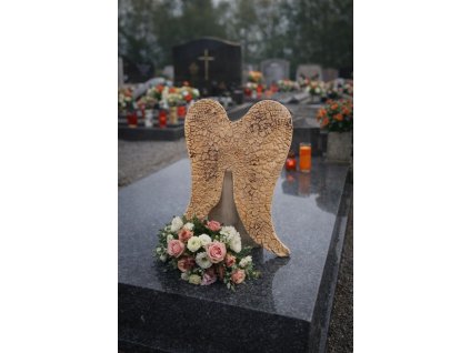 607950584 25665830183013381 7800690050249061667 n