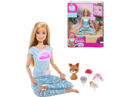 MATTEL BRB Barbie wellness a meditace set panenka s pejskem a doplňky