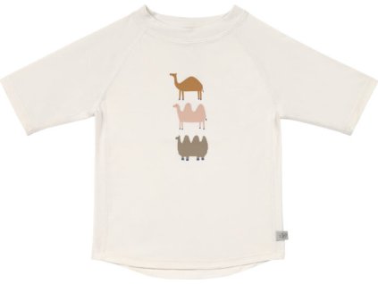 dc18b348ccb105f33c00457506ec7574