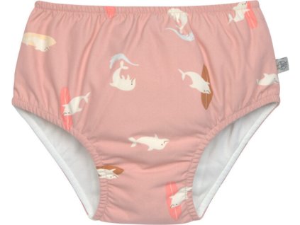 97ac562ca8c3cff887ef80cbe6adf013