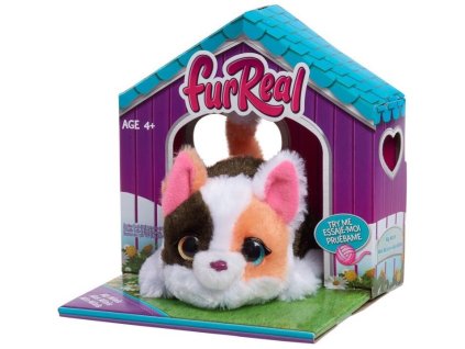 rewrite 112601 461100031645