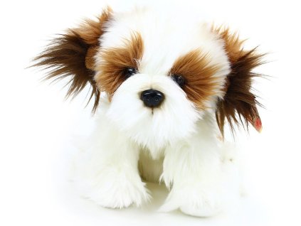 rewrite 100580 844438