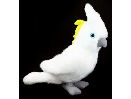 rewrite 20491 505124