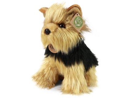 rewrite 147626 241145