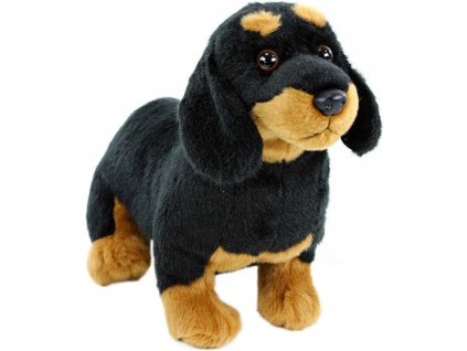 rewrite 46784 207547