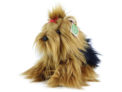 rewrite 57065 204584