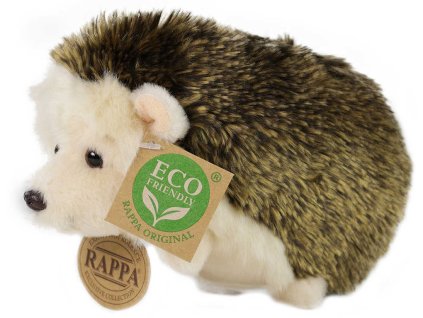 rewrite 81218 221147