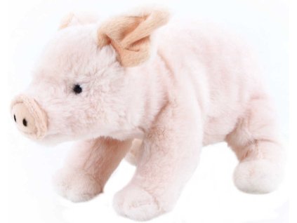 rewrite 29576 920156