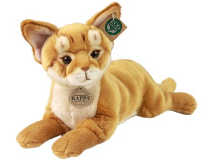 rewrite 110641 240230