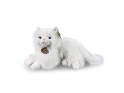 rewrite 46813 251212