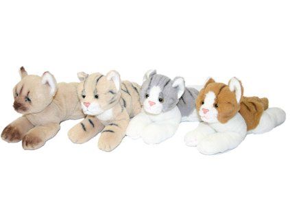 rewrite 54907 450226