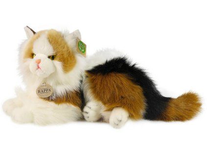 rewrite 79946 241848