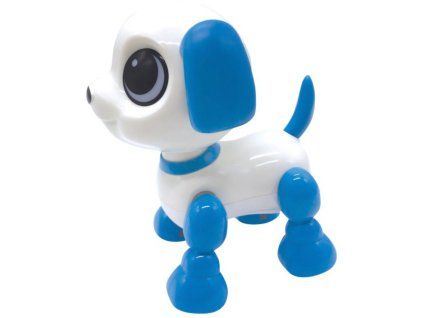 rewrite 57504 rob02dog