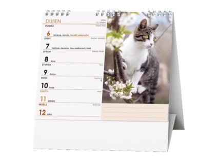 13446 kalendar ideal kocky