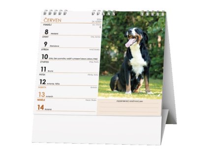 13461 kalendar ideal pes pritel cloveka