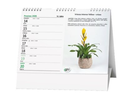 13539 kalendar pokojove kvetiny