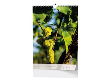 13815 kalendar vino a3