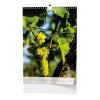 13815 kalendar vino a3